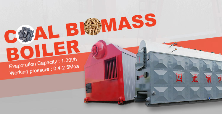 coal biomass boiler